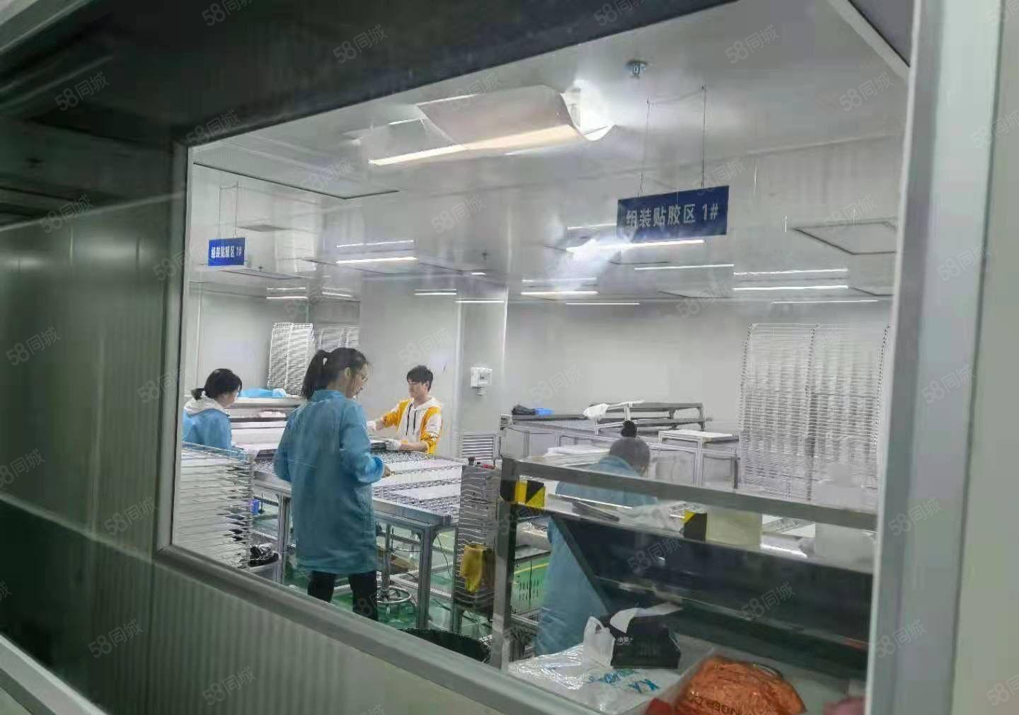 厚街厂房出租十万级无尘车间2000平方可办环评