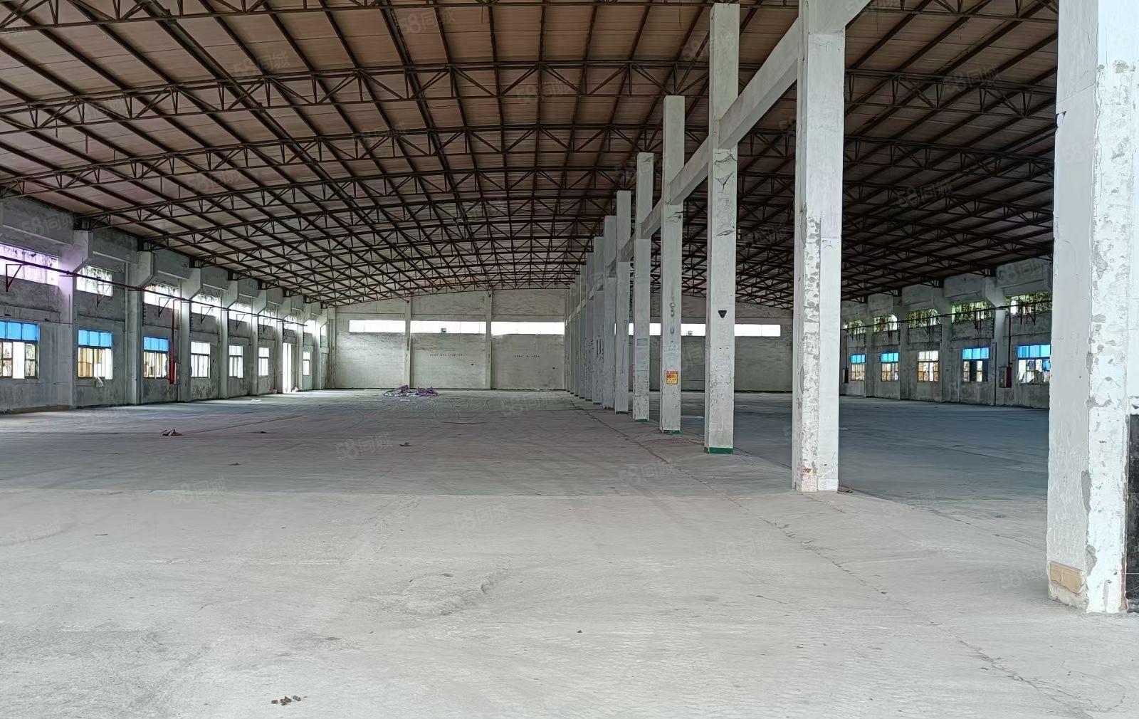 低价独门独院钢构工业厂房仓库出租十米高交通方便周边配套齐全