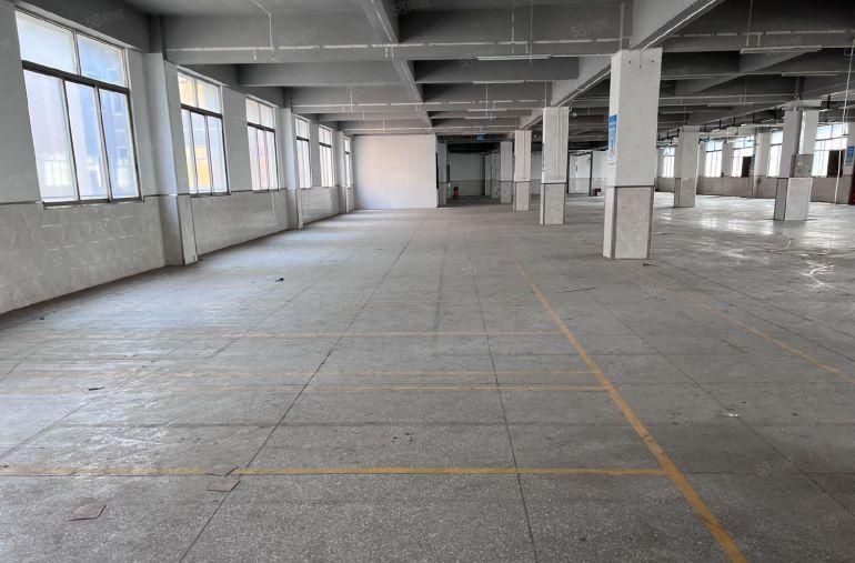 厚街全新独门独院可办环评厂房出租