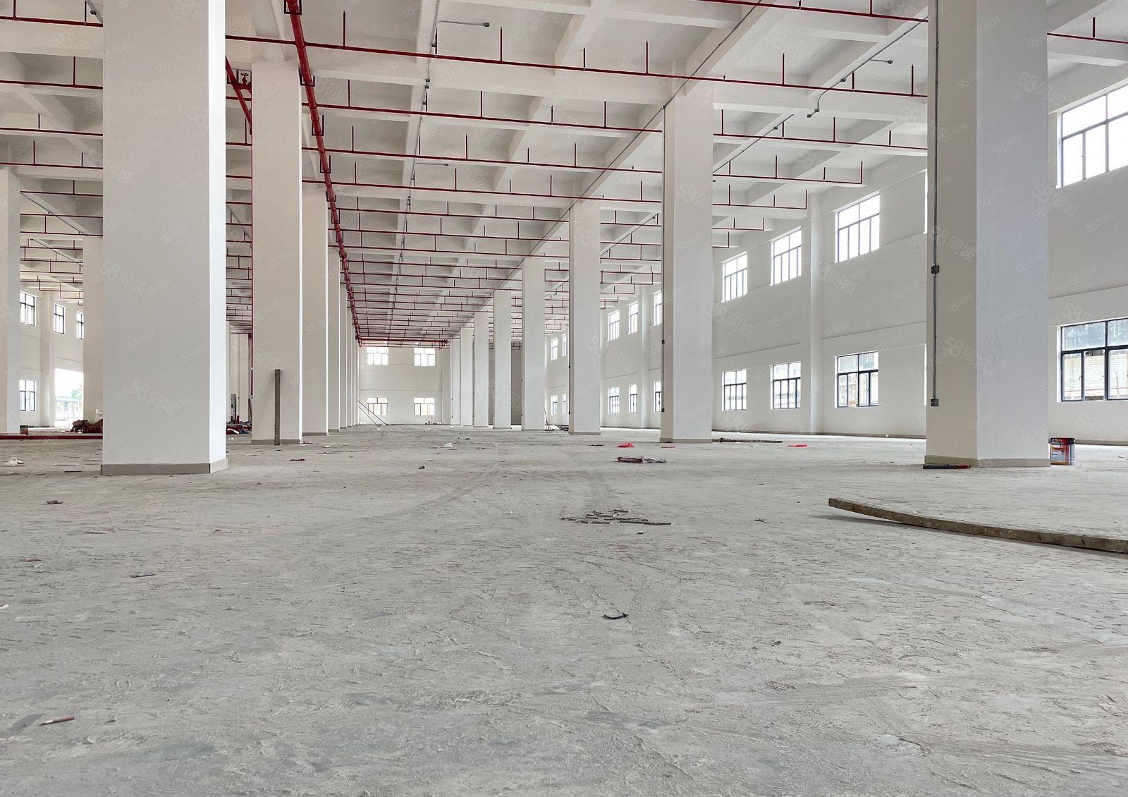 厚街高端产业园全新独院一楼2500平厂房出租全新装修