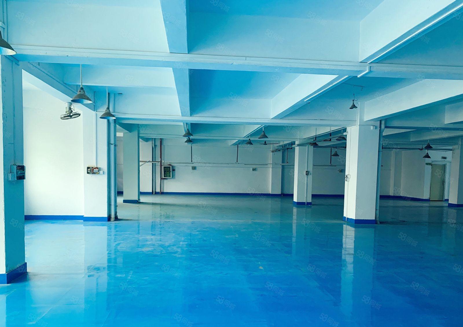 厚街850方原房东直租 现成办公室 地坪漆 可办环评