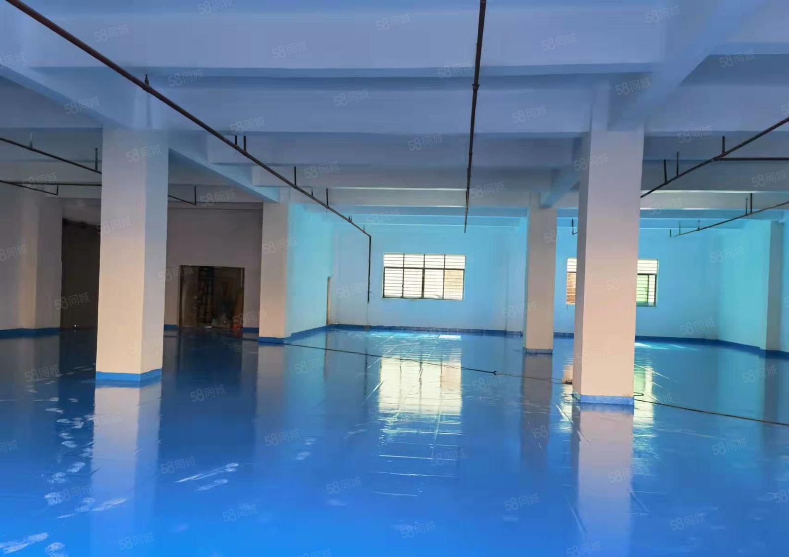 厚街楼上精装修520平厂房出租 主干道边上 交通便利