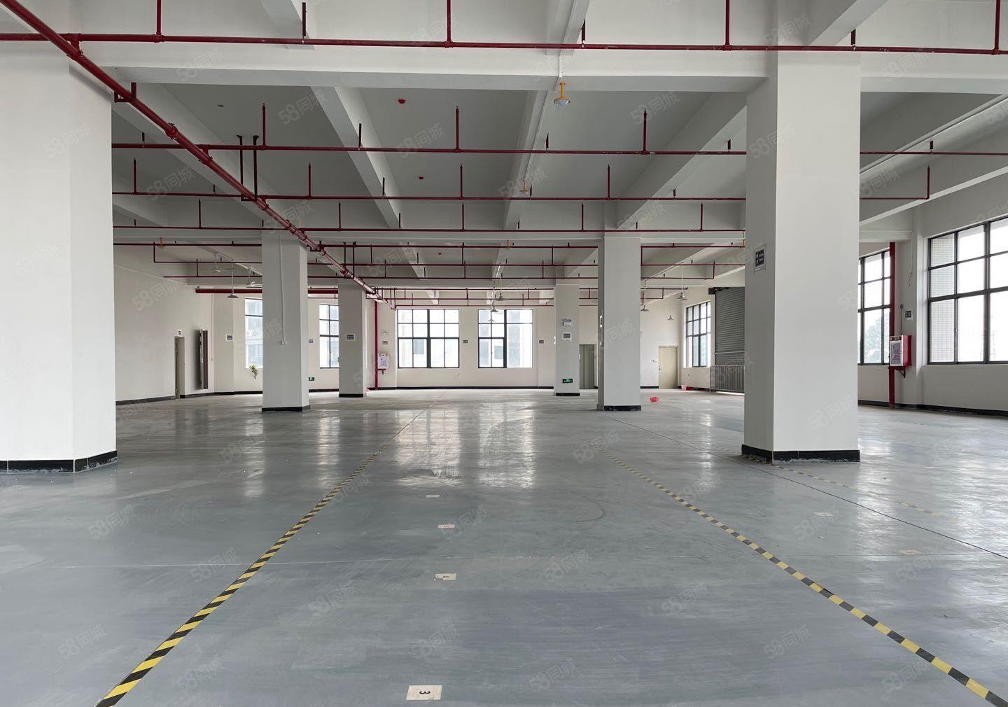 厚街全新独院整层7000方厂房出租适合电子五金机械注塑软装等