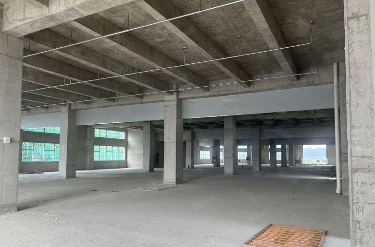 出租|开发商直租无公摊滨海湾全新现楼红本厂房大小任意可分割