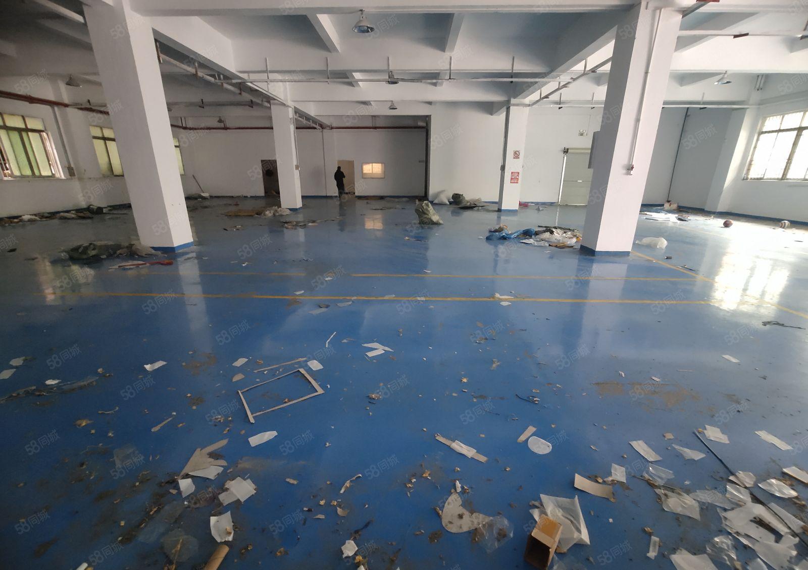 厚街一楼800平厂房出租 现成卫生间办公室水电齐全