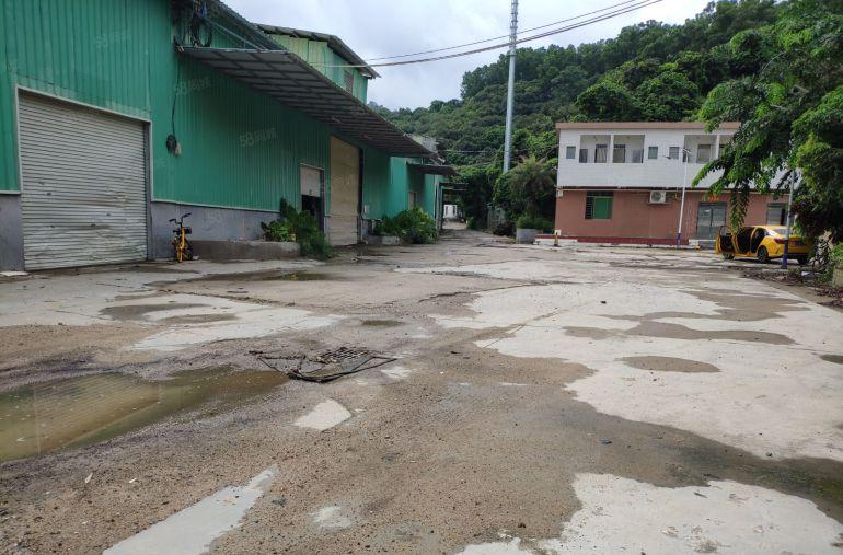 可分租厚街独门独院4000平钢结构厂房单一层厂房出租仓库出租