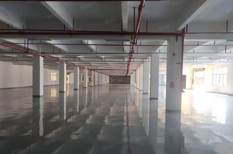 厚街 独院厂房 可分租两个小独院 适合电子 医疗 机械 注塑