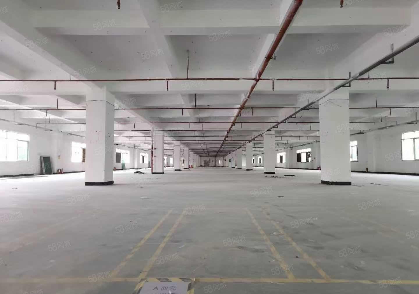 厚街新出花园式独门独院厂房招租