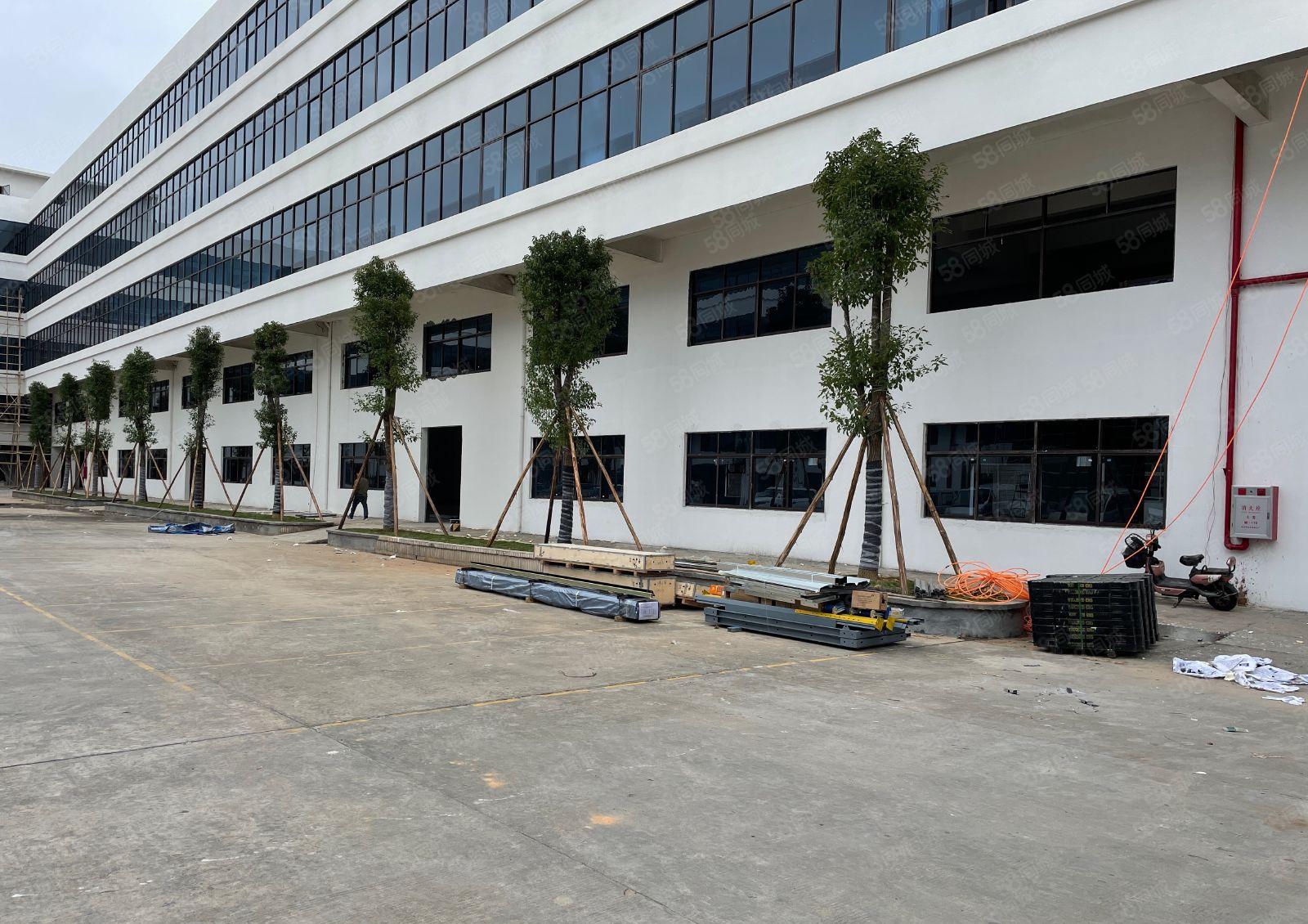 厚街高端产业园全新独院一楼2500平厂房出租全新装修