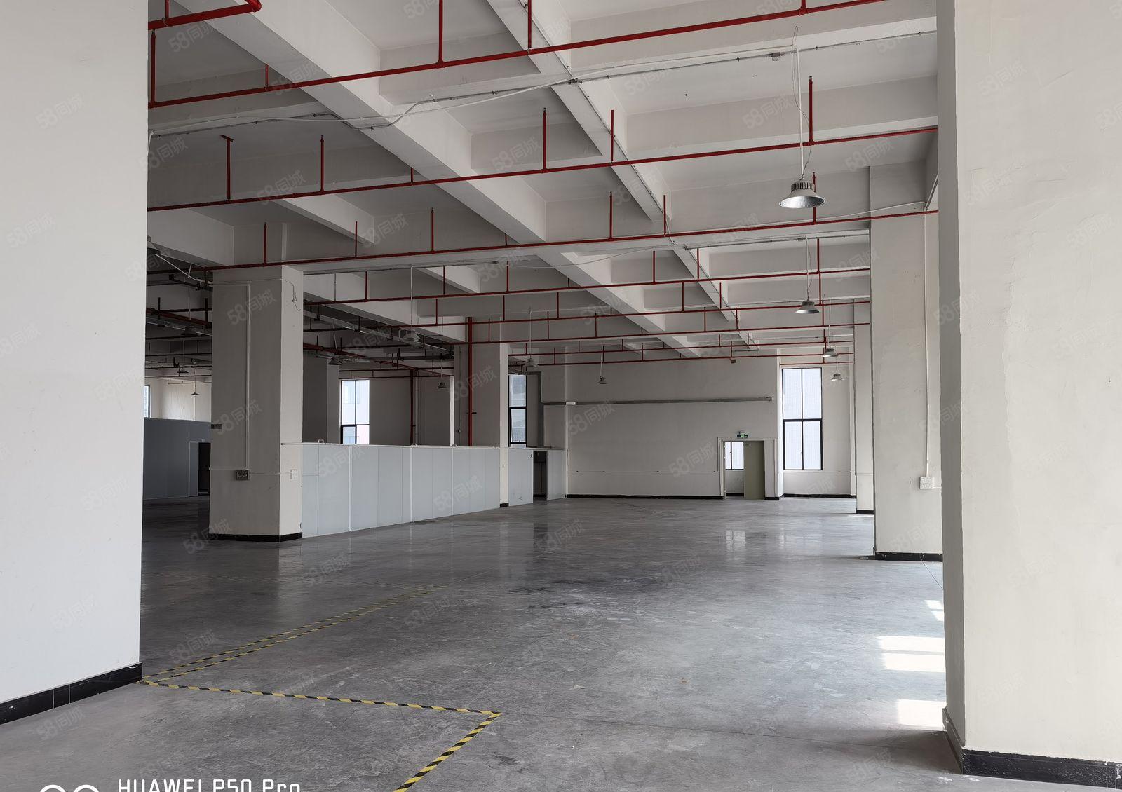 全新红本园区6楼1910平方现成装修阁楼地坪漆 面积利用率高