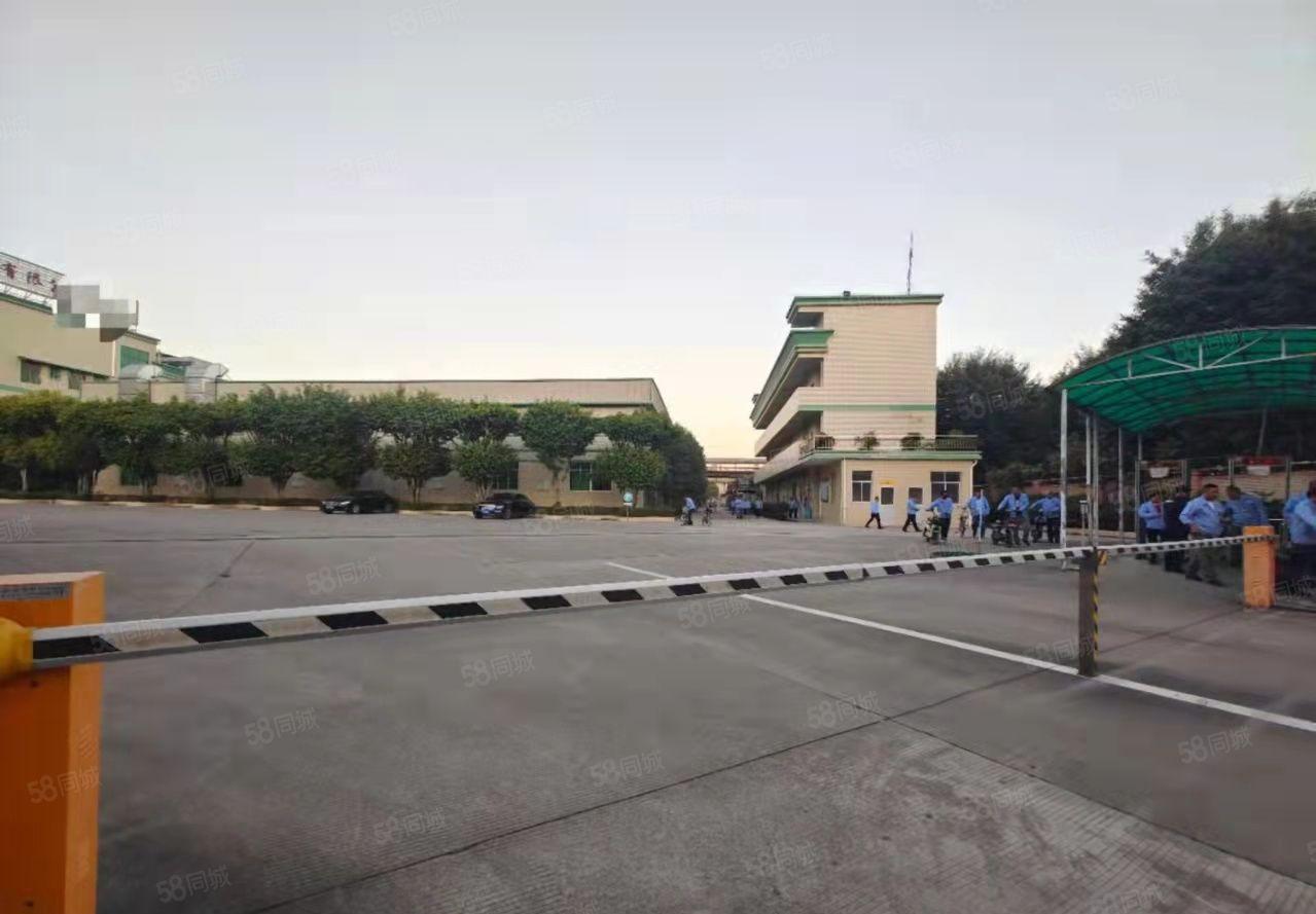 厚街推出钢构和标准厂房2000平，环境好！价格低！