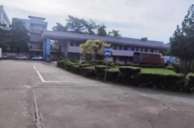 厚街花园式园区厂房4500平（可分租 ） 适合各行业