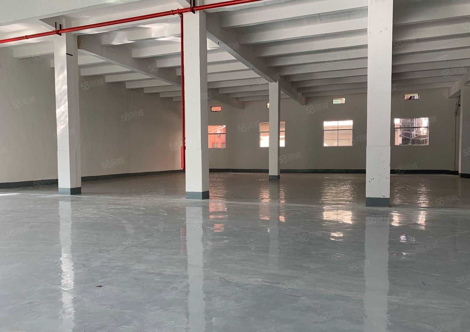 原房东独院分租880平实际面积厂房出租仓库出租层高6.5米