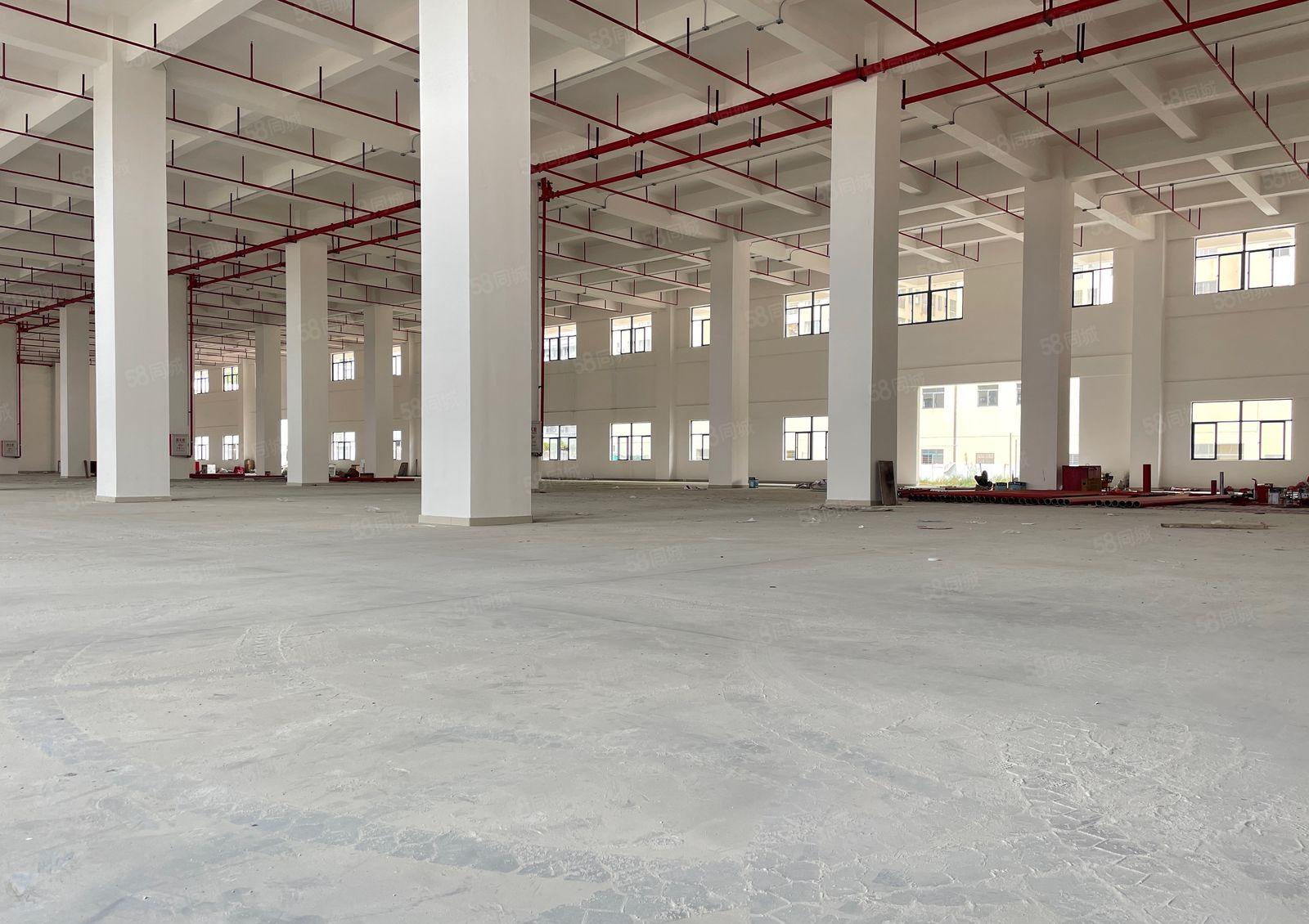 厚街全新独院10000方厂房出租一楼7米适合高端产业