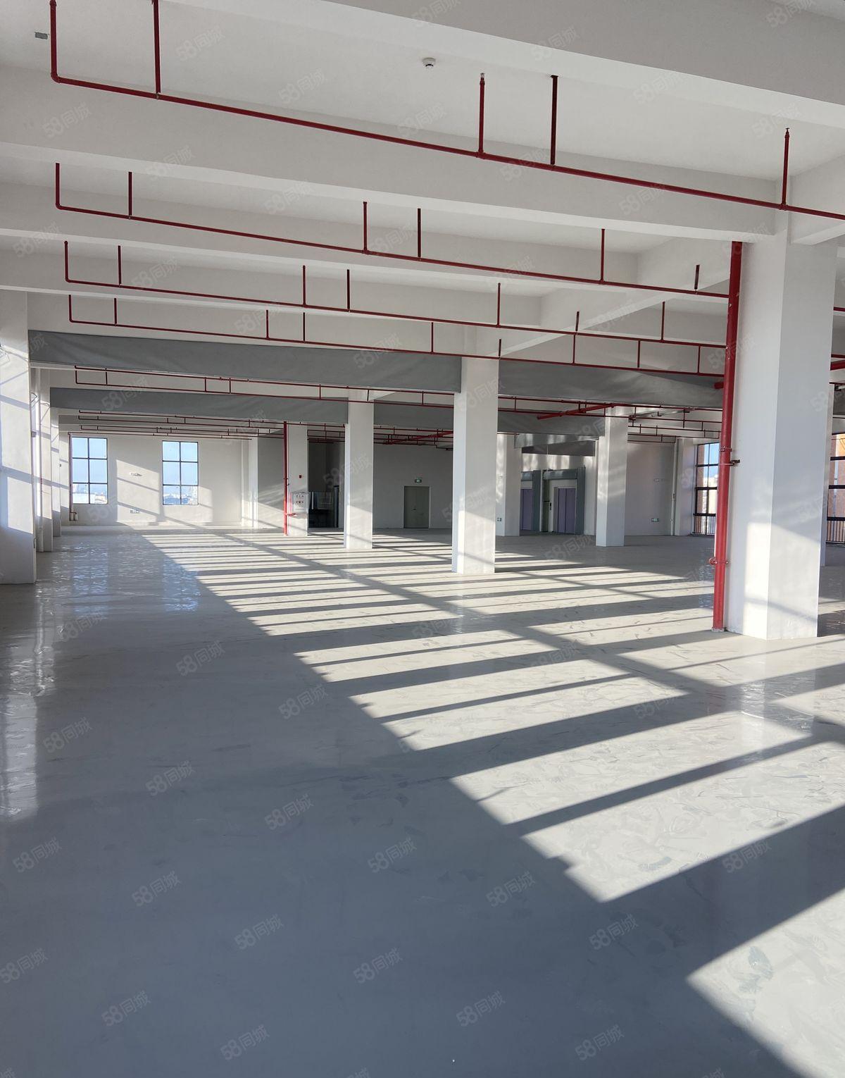 厚街涌口全新原房东厂房1730平方全新装修