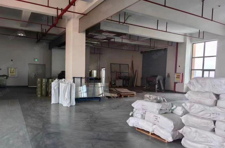 厚街新出楼上1500平米，全新厂房！带地坪漆，现成装修办公室