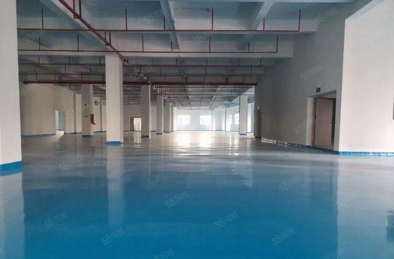 厚街镇 厚街村楼上全新厂房1000平起分租金9块带装修