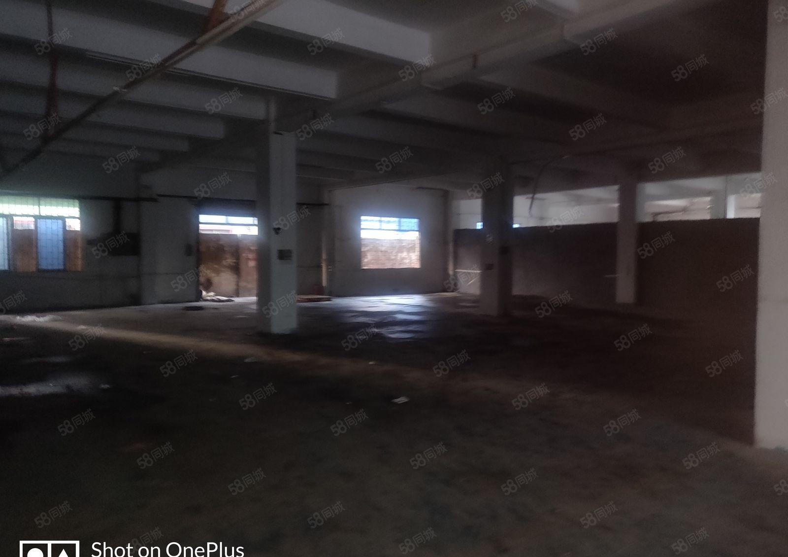 厚街新出标准厂房650平，园区大好停车，价格便宜适合各行各业