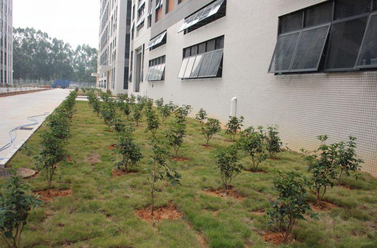 高标仓库  原房东出租   电商物流