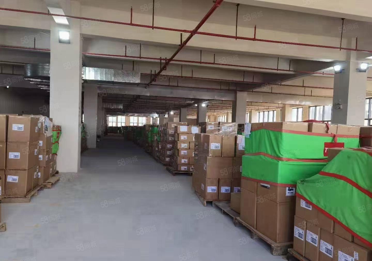 1000平一楼高度6米独院原房东高水电费自己交