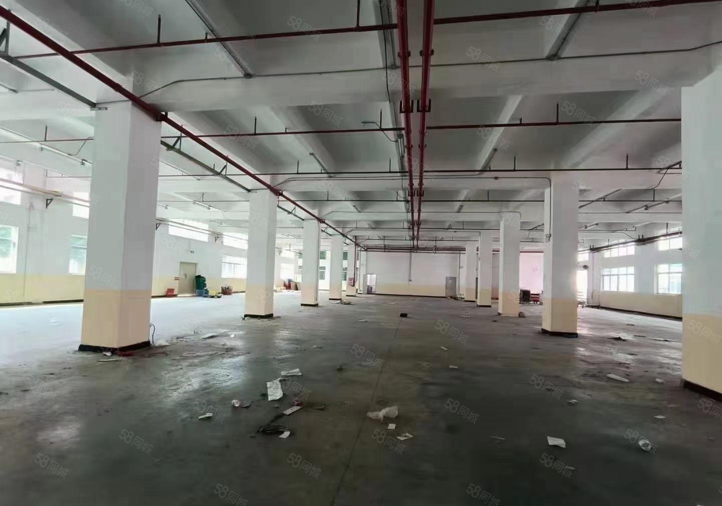 厚街白濠（原房东）14000平厂房出租花园试厂房空地非常大