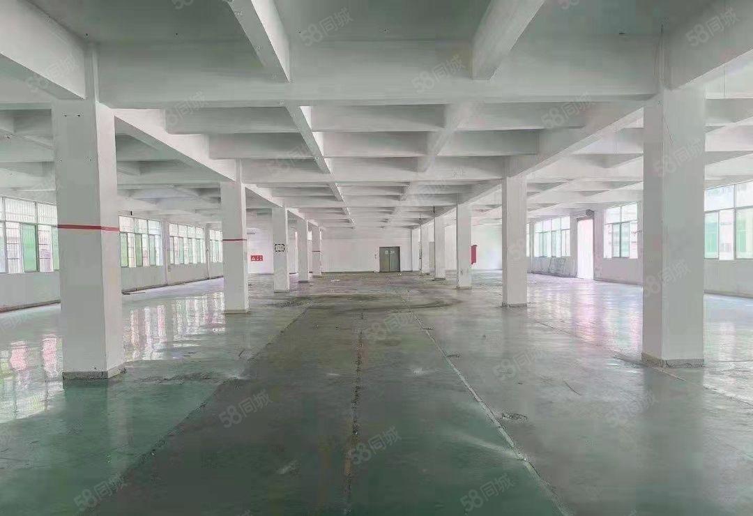 厚街新出花园式独门独院厂房招租