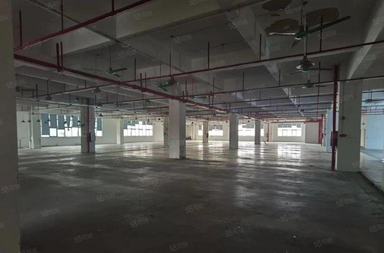 厚街厂房现成装修 现成水电3不大货梯