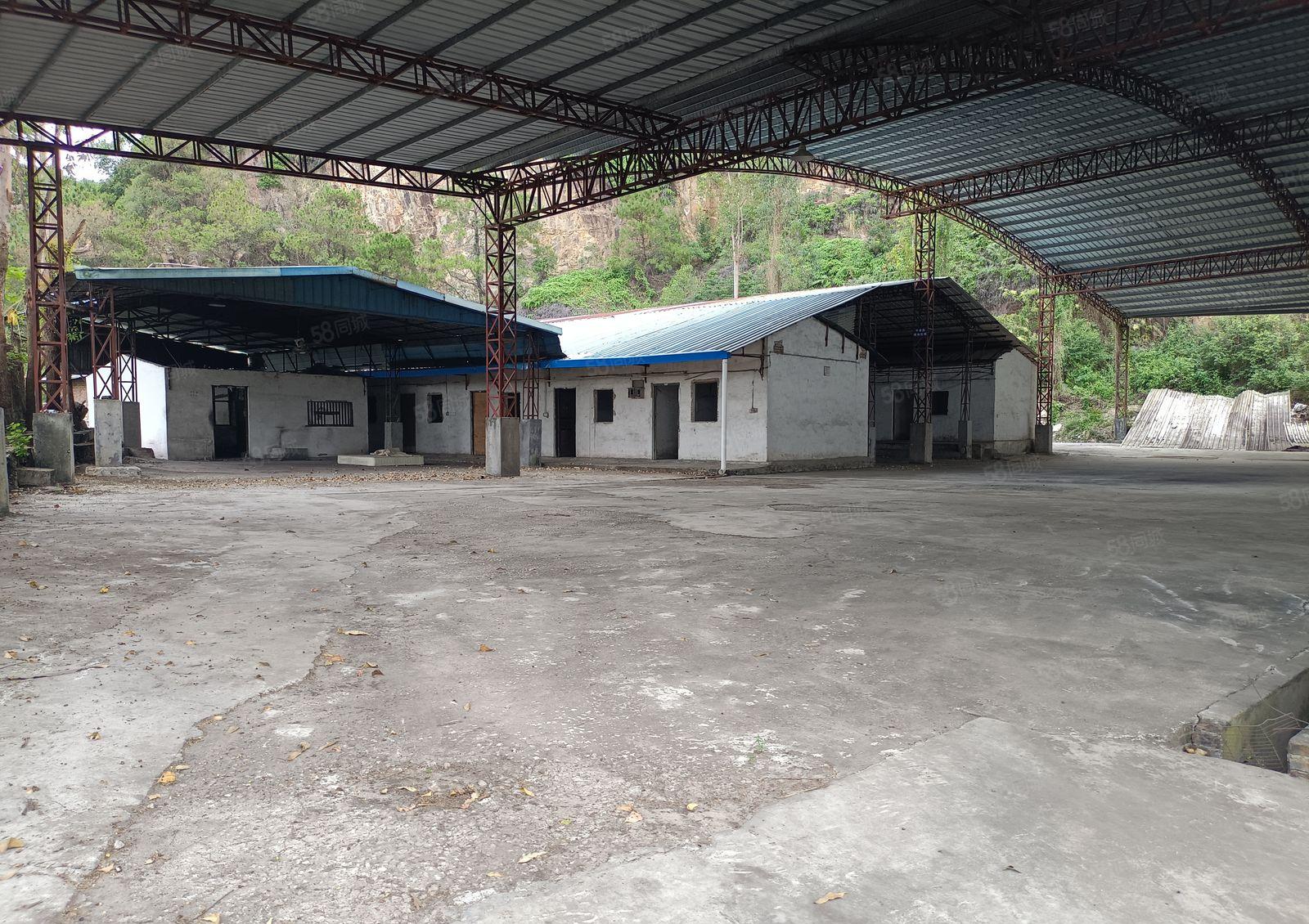 原房东直租 厚街独院厂房出租2000平 仓库出租可分租带尺量