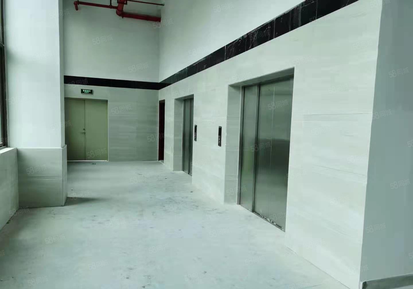 汀山全新厂房一楼2500平厂房出租， 园区厂房，带消防喷淋