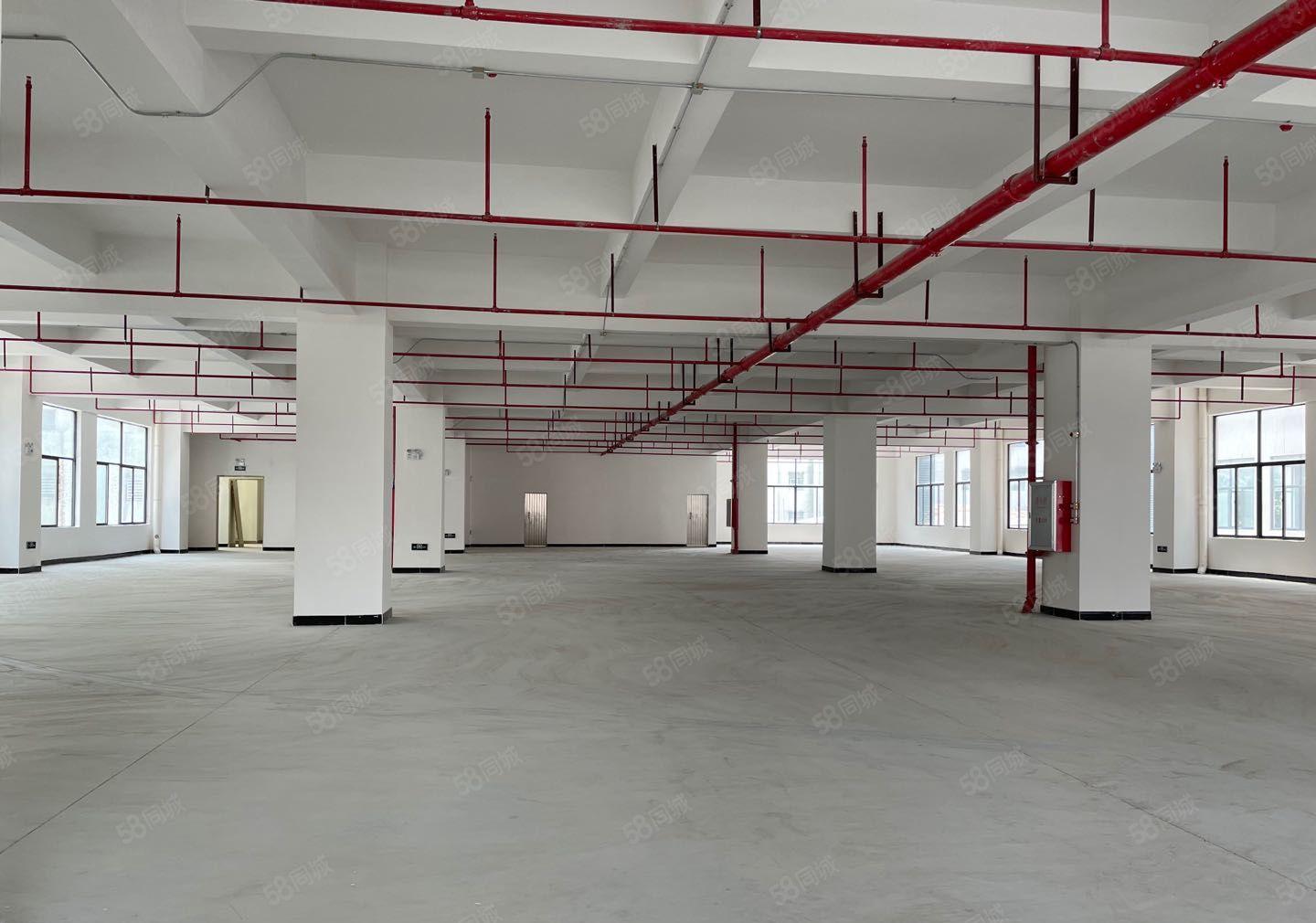 厚街村村委自建工业厂房楼上2200平工业用地内部设施齐全