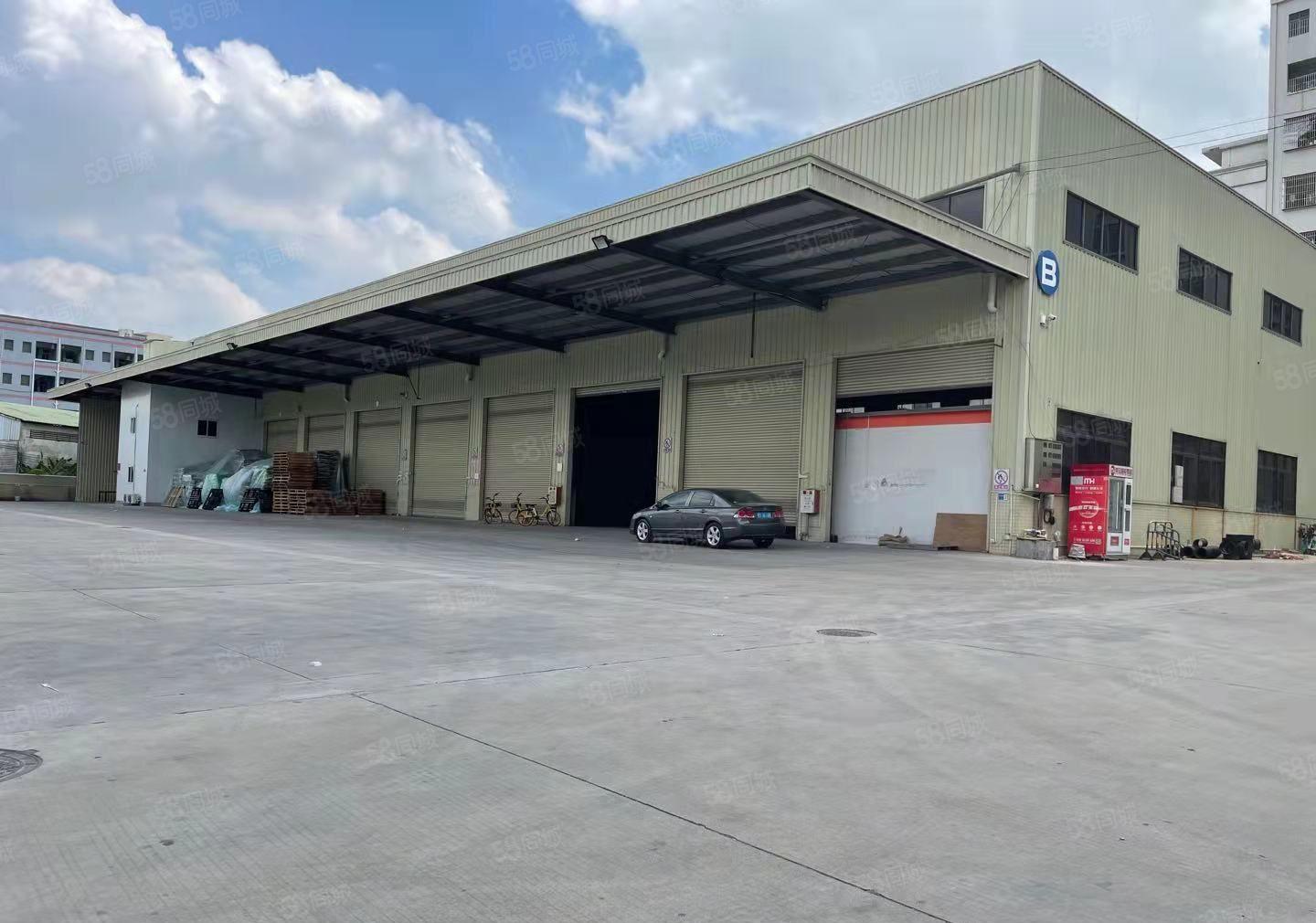 厚街新出单一层钢构厂房2600平方出租，高度12米