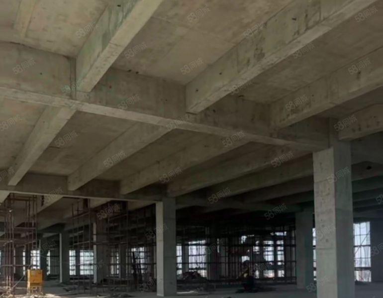 厚街厂房全新未使用高标厂房层高5.4米6米7.9米低价招商中