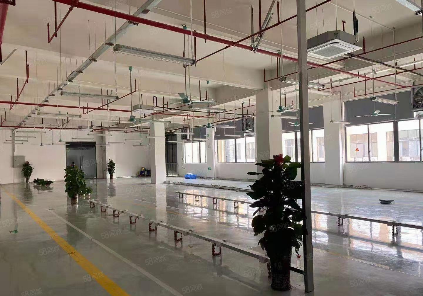 新出厚街工业园2580平厂房出租，拎包入驻,可分租，可办环评