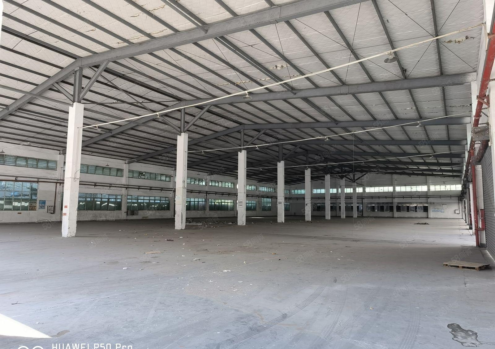 厚街镇厚街村，独门独院厂房低价招租，滴水8米，国道旁交通便利