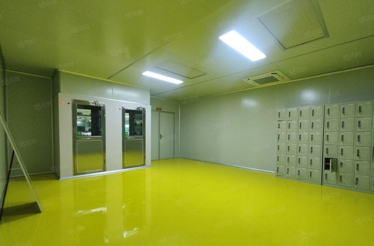 厚街现成无尘车间豪华装修10元起租五吨货梯没转让费大小分租