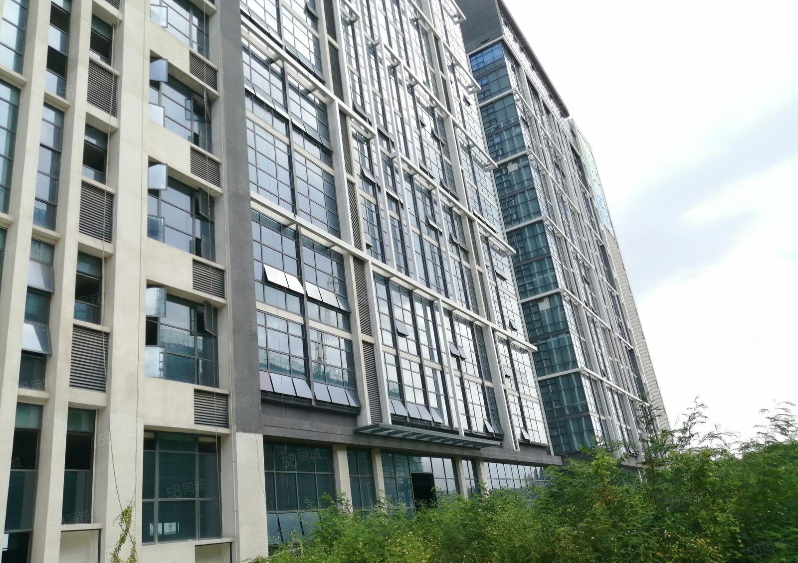 原房东全新独院定建厂房，标准工业用地，也可以包租，出租。