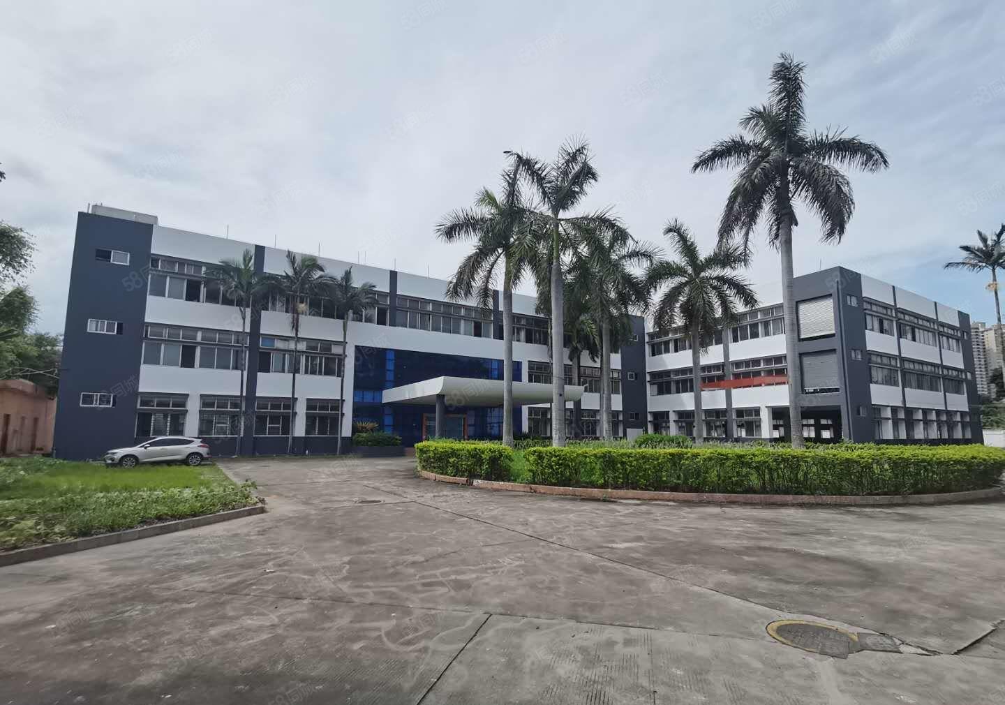 东莞市厚街独门独院标准低价厂房出租空地大带绿化