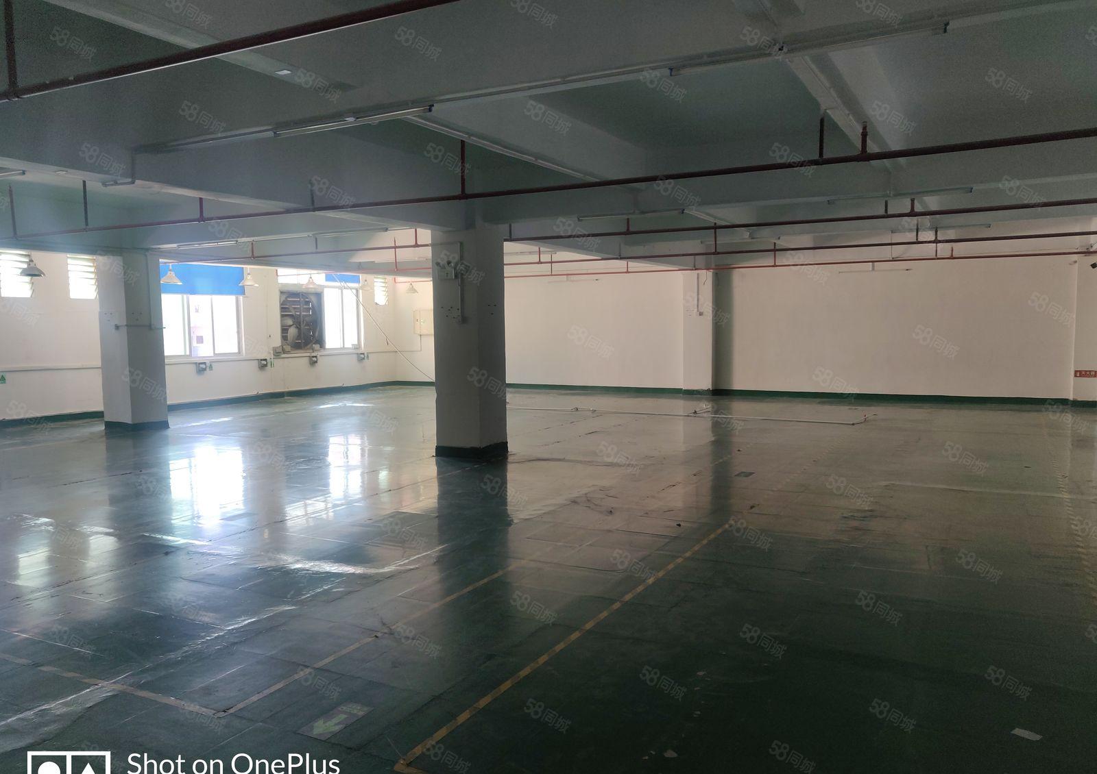 厚街溪头新出厂房900平，带办公室，全新装修，价格便宜