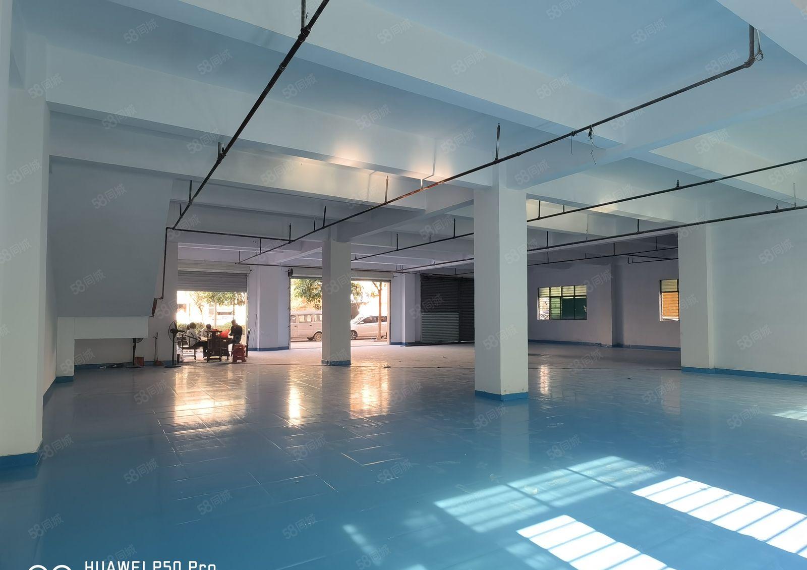 厚街全新独栋厂房15层单层850平 大小可分租 全新地坪漆