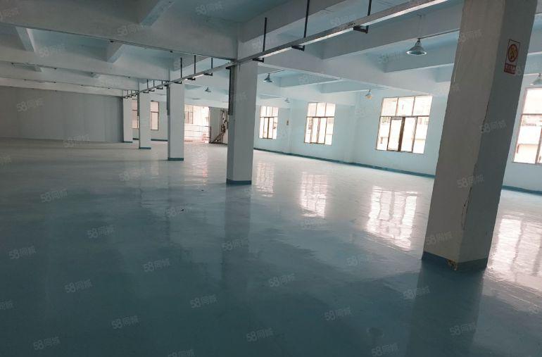 厚街新出两层2400平米，现成精装修！水电齐全！内含办公室！