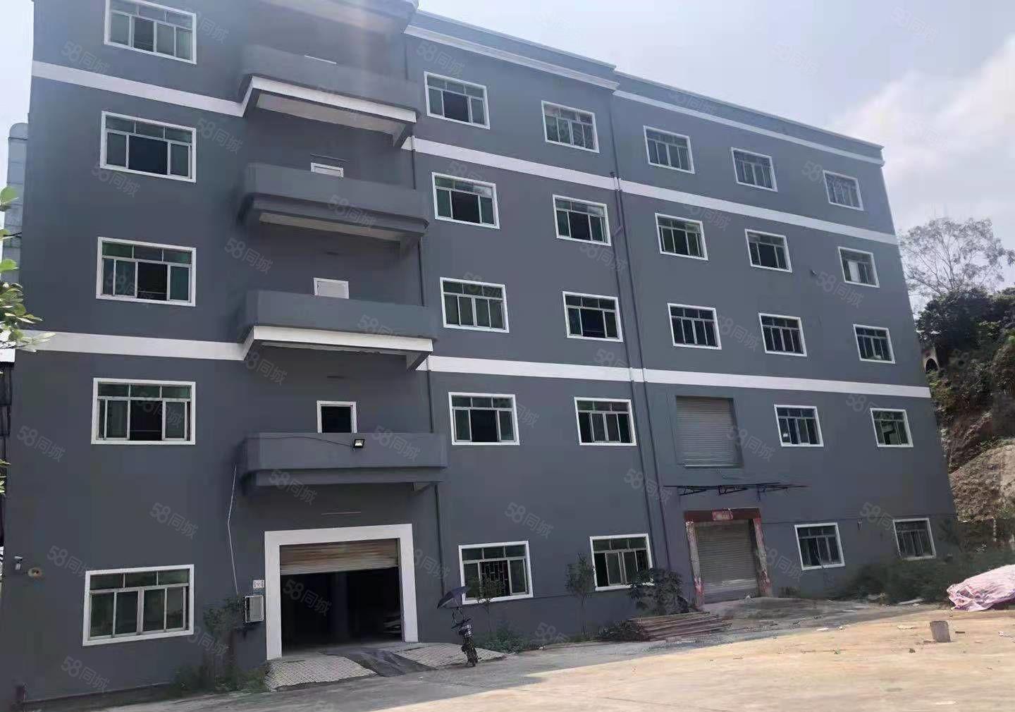 独门独院6000平方环评环保厂房