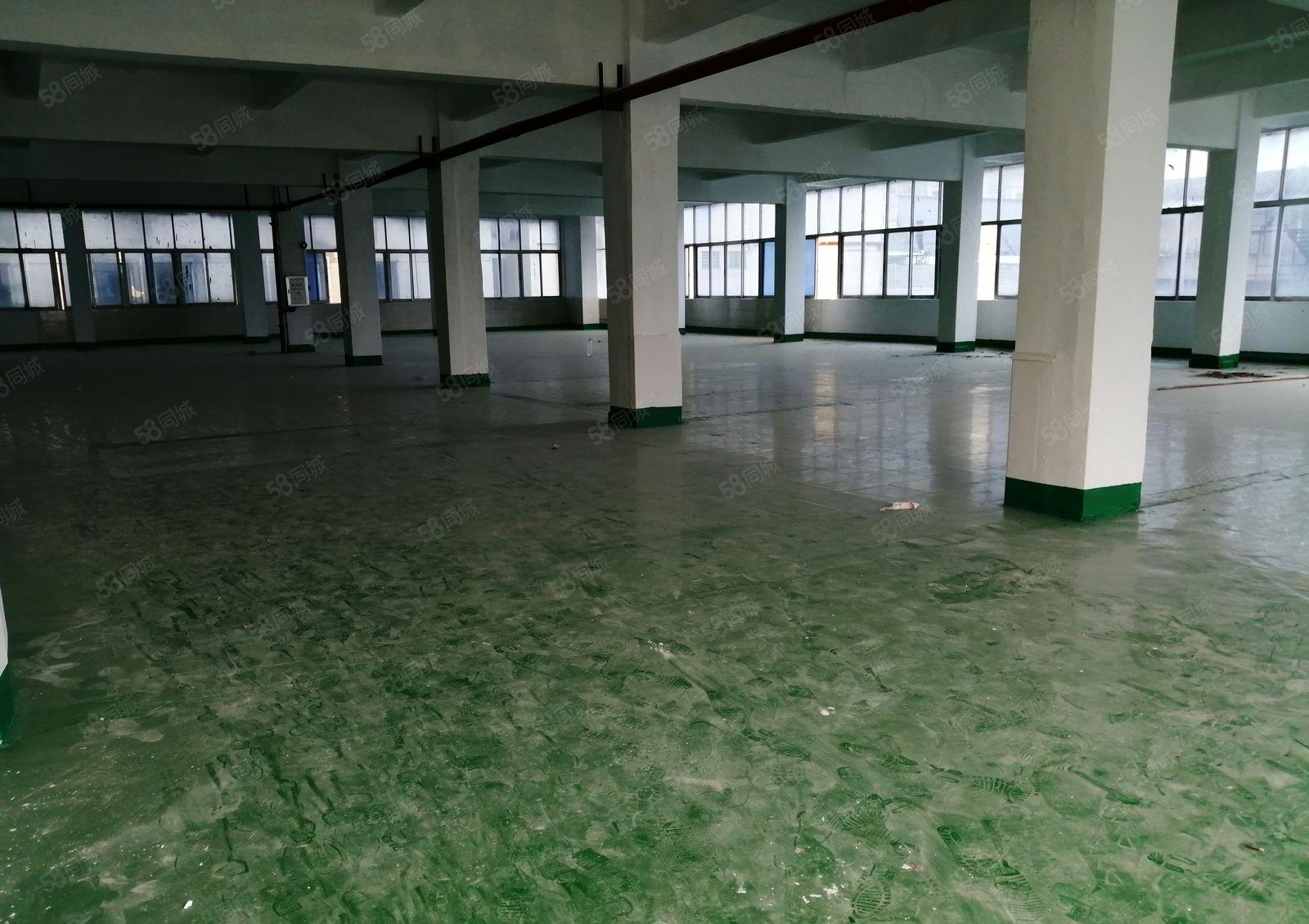 个人独院厂房出租，周边配套设施齐全。位置好