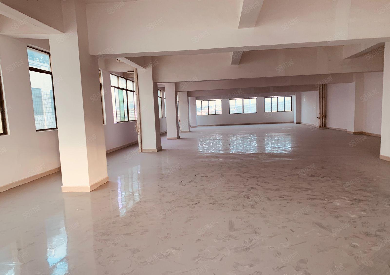 厚街500方全新翻修环氧地坪漆厂房