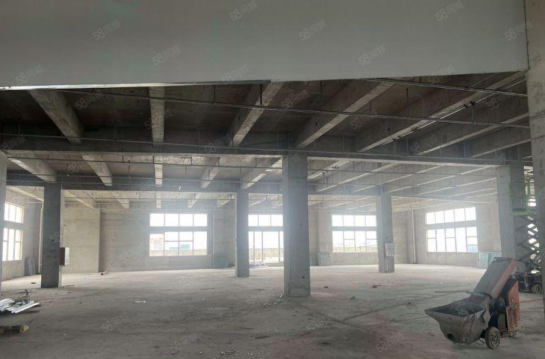 厚街全新工业园M1厂房14起租含税随时可看，5吨货梯水电正常