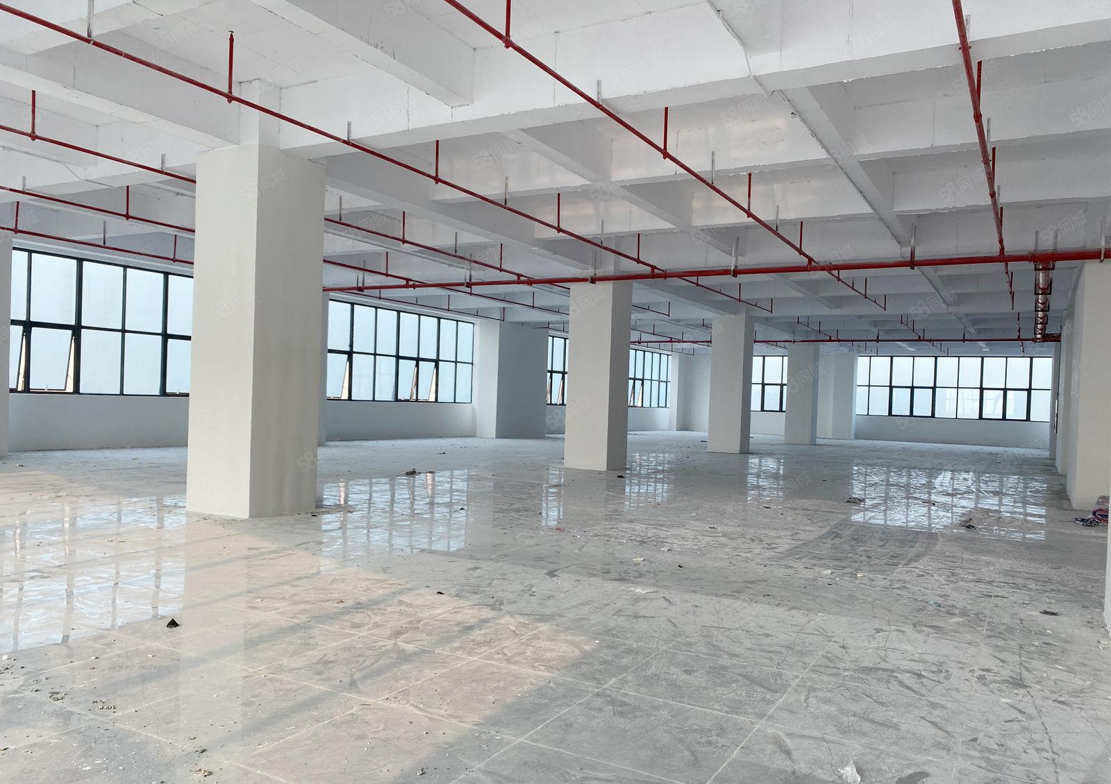 厚街全新厂房适合电商公司进驻 可做仓库 采光好 环境佳