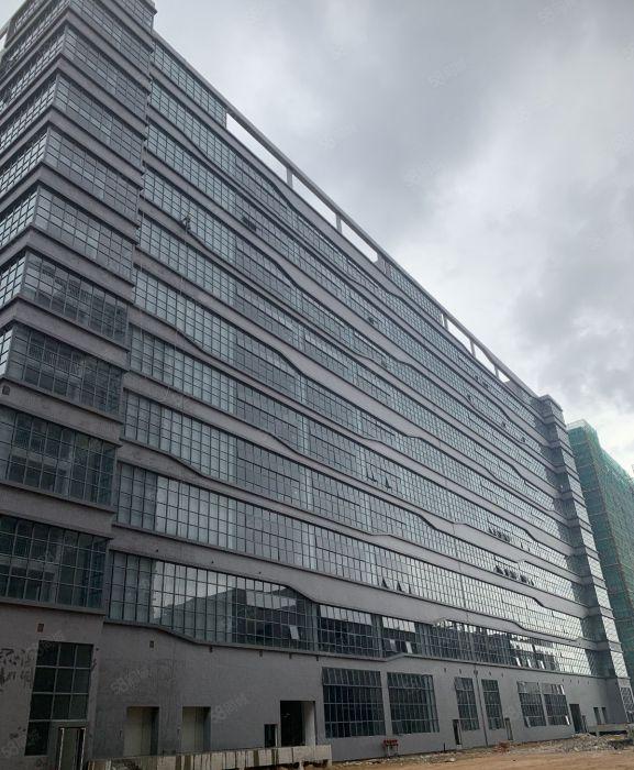 原房东厚街 全新标准厂房出租 一楼层高7米 适合设备电子行业