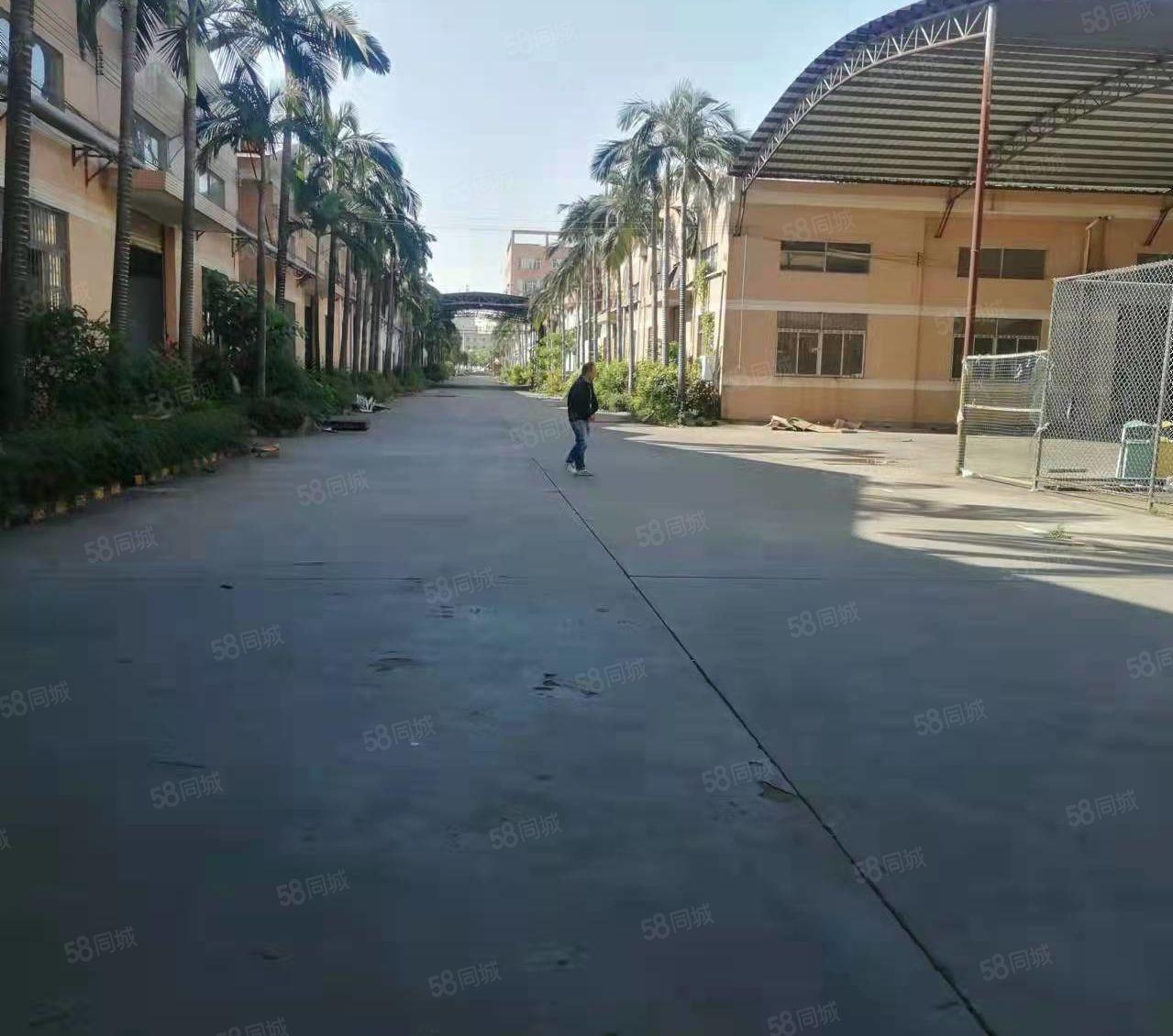 厚街原房东花园式厂房仓库出租7000平方大小可分租靠国道边