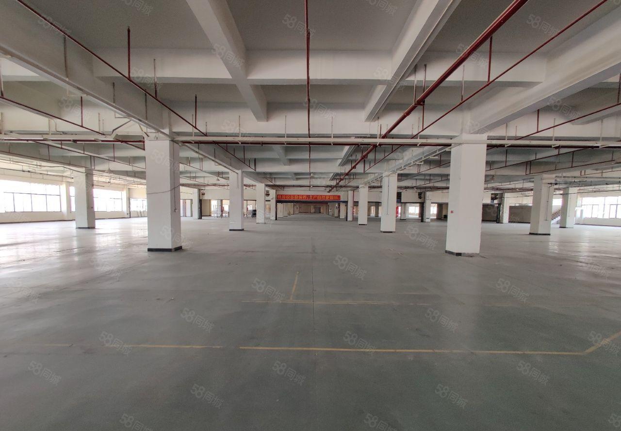 厚街宝屯新出32000平米原房东独院厂房出租适合任何行业。