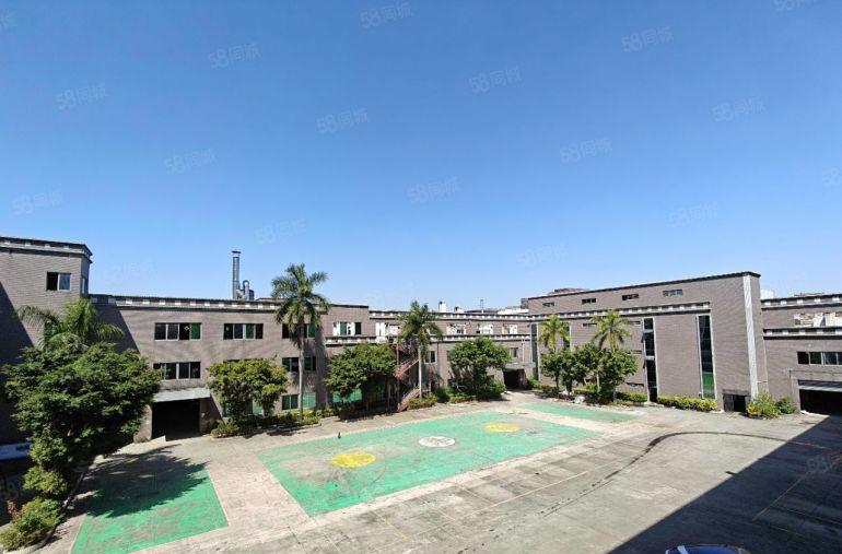 厚街白濠花园式独院空出，独立宿舍楼，24500平，超大空地