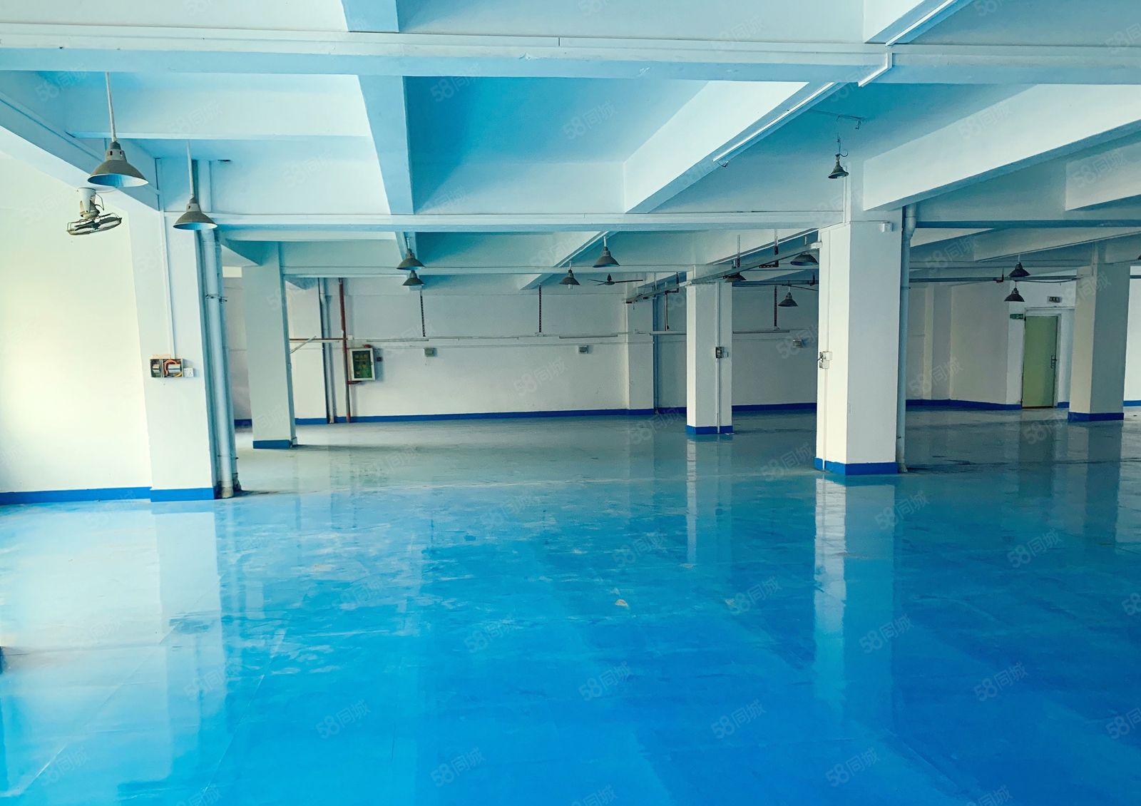 厚街850方原房东直租 现成办公室 地坪漆 可办环评